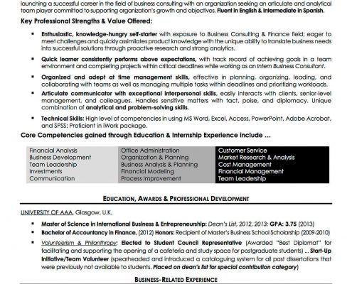 Entry level Business Analyst Consultant Resumes Examples